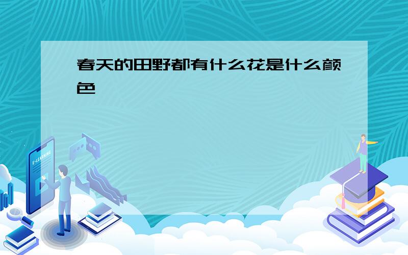 春天的田野都有什么花是什么颜色