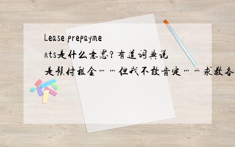 Lease prepayments是什么意思?有道词典说是预付租金……但我不敢肯定……求教各位大神