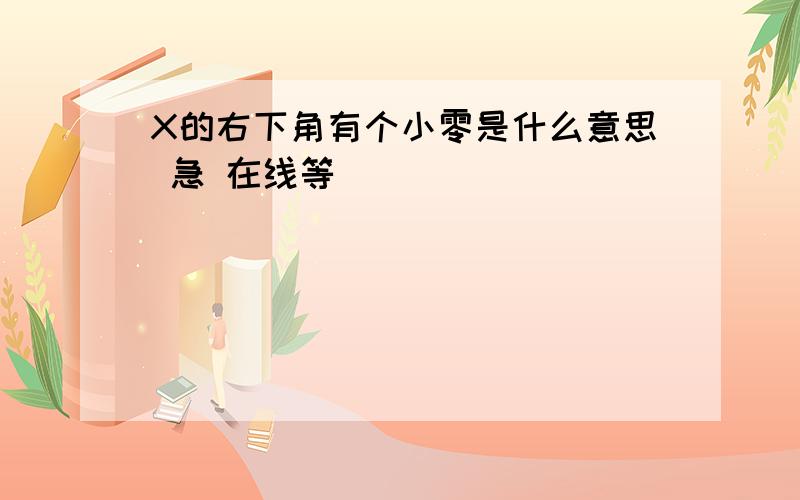 X的右下角有个小零是什么意思 急 在线等