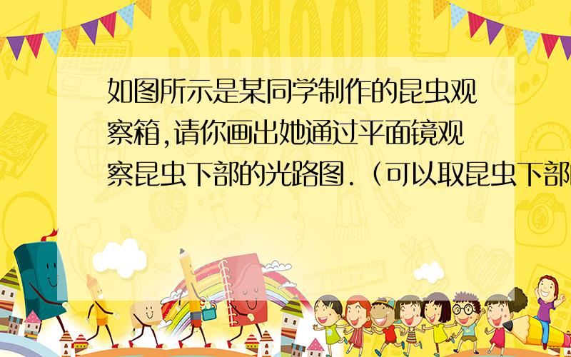 如图所示是某同学制作的昆虫观察箱,请你画出她通过平面镜观察昆虫下部的光路图.（可以取昆虫下部的任何一点作图）