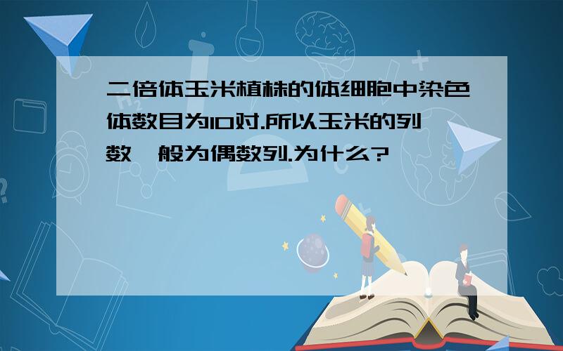 二倍体玉米植株的体细胞中染色体数目为10对.所以玉米的列数一般为偶数列.为什么?