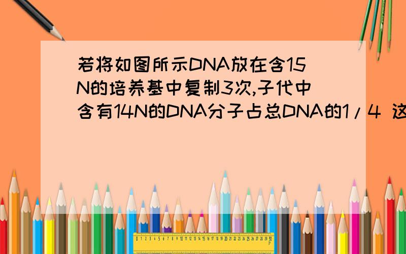 若将如图所示DNA放在含15N的培养基中复制3次,子代中含有14N的DNA分子占总DNA的1/4 这句话对吗G A A T T G - 15NC T T A A C - 14N图大概就这样