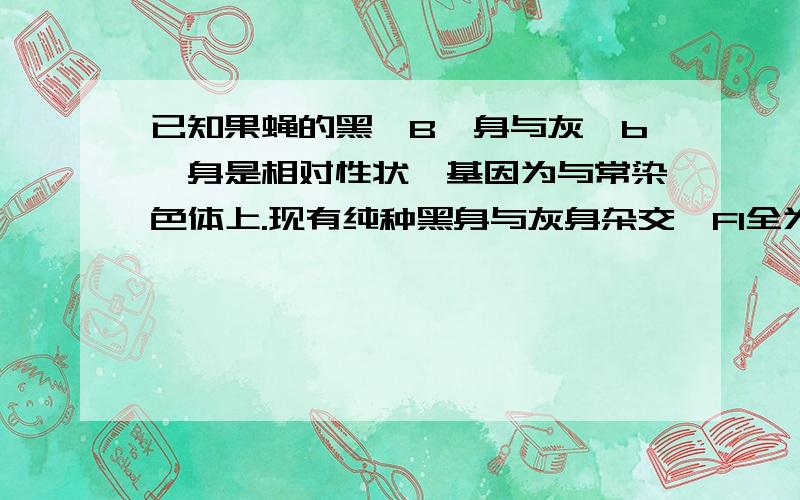 已知果蝇的黑【B】身与灰【b】身是相对性状,基因为与常染色体上.现有纯种黑身与灰身杂交,F1全为灰身,F1自由交配后产生F2并除去黑身果蝇,让灰身果蝇自由交配,产生产生F3.问：后代中灰身