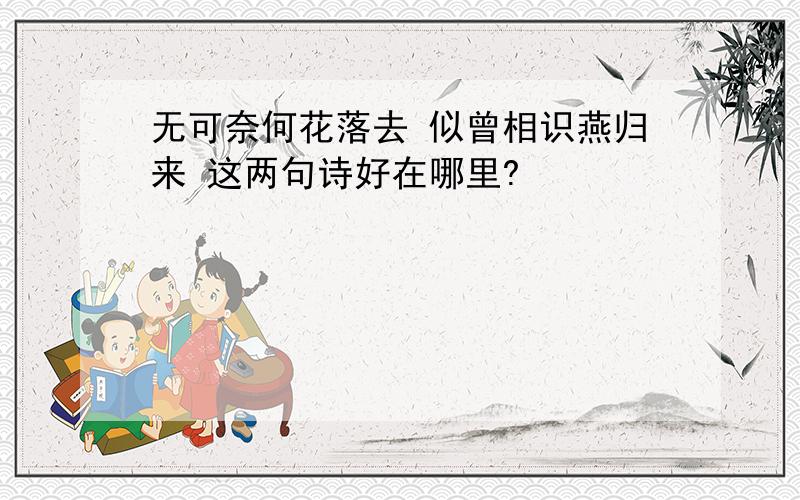 无可奈何花落去 似曾相识燕归来 这两句诗好在哪里?