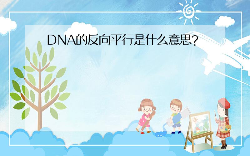 DNA的反向平行是什么意思?