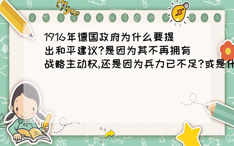 1916年德国政府为什么要提出和平建议?是因为其不再拥有战略主动权,还是因为兵力已不足?或是什么原因?