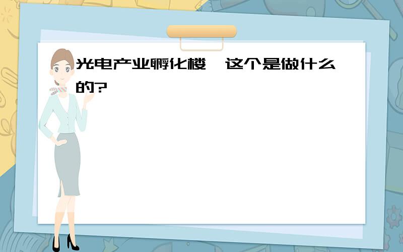 光电产业孵化楼,这个是做什么的?