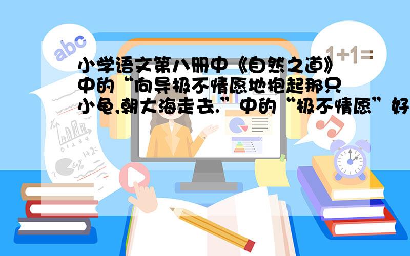 小学语文第八册中《自然之道》中的“向导极不情愿地抱起那只小龟,朝大海走去.”中的“极不情愿”好在哪