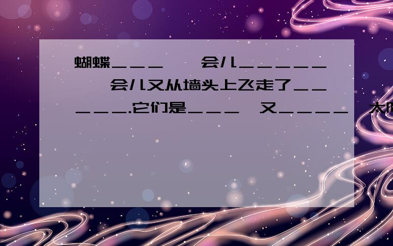 蝴蝶＿＿＿,一会儿＿＿＿＿＿,一会儿又从墙头上飞走了＿＿＿＿＿.它们是＿＿＿,又＿＿＿＿,太阳也不知道这个．只是天空＿＿＿＿．＿＿＿＿．