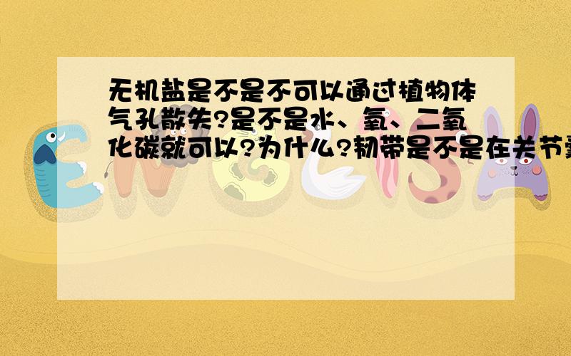 无机盐是不是不可以通过植物体气孔散失?是不是水、氧、二氧化碳就可以?为什么?韧带是不是在关节囊外面里面都有?增加了关节牢固性?红细胞呈两面凹的圆饼状与其利于输送氧气有何关系?