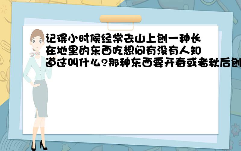 记得小时候经常去山上刨一种长在地里的东西吃想问有没有人知道这叫什么?那种东西要开春或者秋后刨出来才好吃 长在外面茎很细很长 是白色的 经常绕在附近的植物上 想要吃果实就要刨