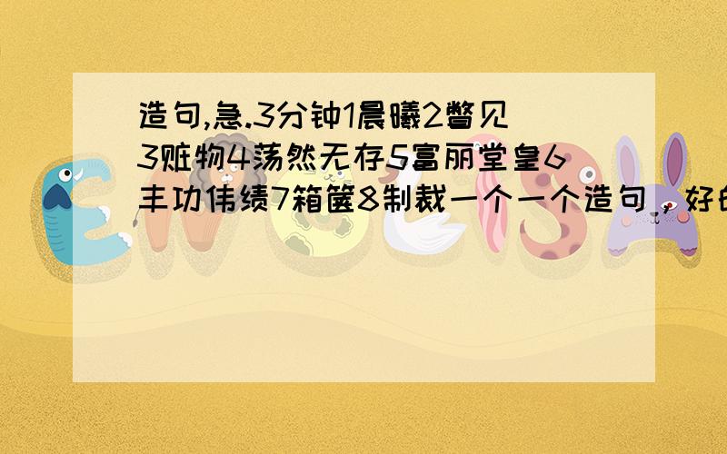 造句,急.3分钟1晨曦2瞥见3赃物4荡然无存5富丽堂皇6丰功伟绩7箱箧8制裁一个一个造句，好的再加50分