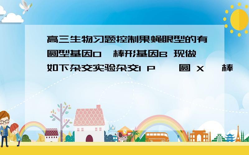 高三生物习题控制果蝇眼型的有圆型基因O,棒形基因B 现做如下杂交实验杂交1 P  ♂圆 X ♀棒        杂交2  P   ♂棒 X ♀圆              ↓                            ↓       F1 ♂棒  ♀腰子型