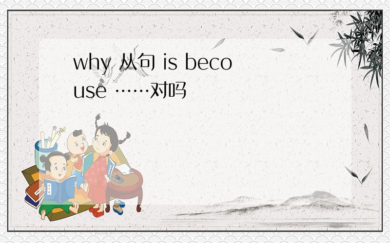 why 从句 is becouse ……对吗