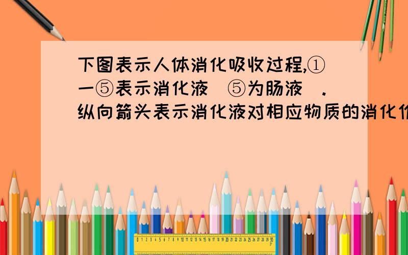 下图表示人体消化吸收过程,①一⑤表示消化液（⑤为肠液）.纵向箭头表示消化液对相应物质的消化作用,abc分别表示淀粉、蛋白质和脂肪的最终消化产物.有关分析正确的是    [ A]A．④和⑤发