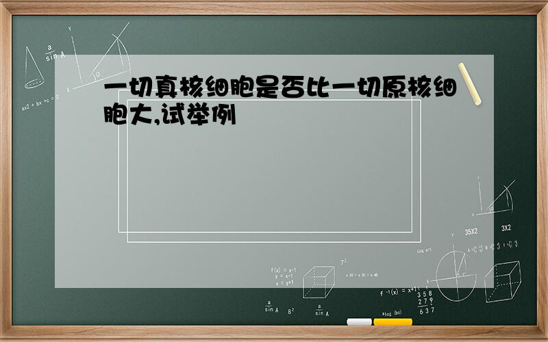 一切真核细胞是否比一切原核细胞大,试举例