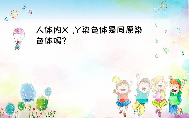 人体内X ,Y染色体是同原染色体吗?