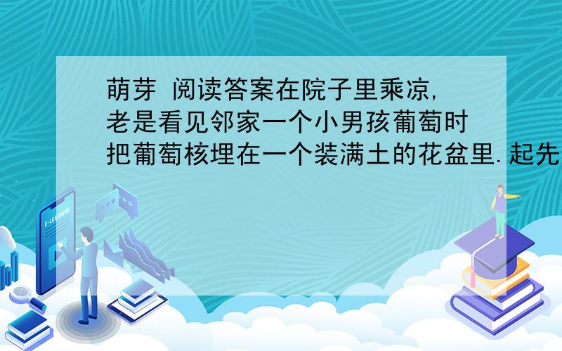 萌芽 阅读答案在院子里乘凉,老是看见邻家一个小男孩葡萄时把葡萄核埋在一个装满土的花盆里.起先,我并不在意,看久了,便问：“你怎么老把葡萄核埋在花盆里?” “我想种出葡萄来”他头