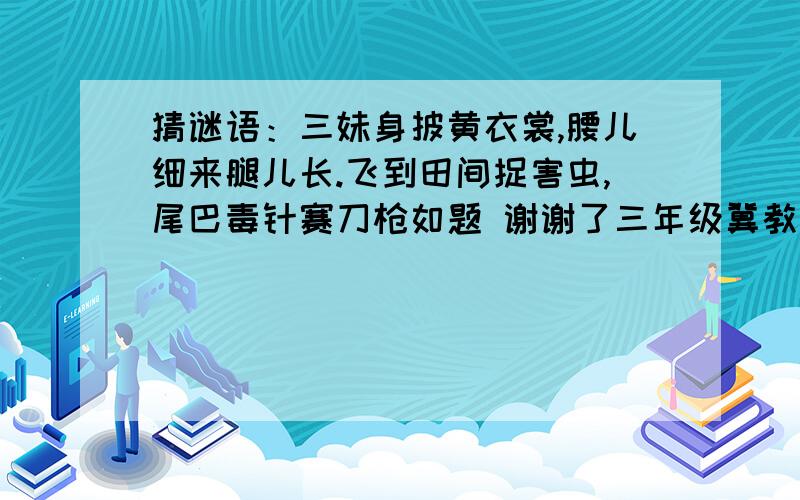 猜谜语：三妹身披黄衣裳,腰儿细来腿儿长.飞到田间捉害虫,尾巴毒针赛刀枪如题 谢谢了三年级冀教版语文暑假作业