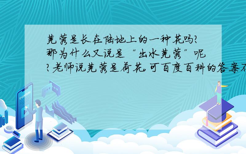 芙蓉是长在陆地上的一种花吗?那为什么又说是“出水芙蓉”呢?老师说芙蓉是荷花,可百度百科的答案不一样