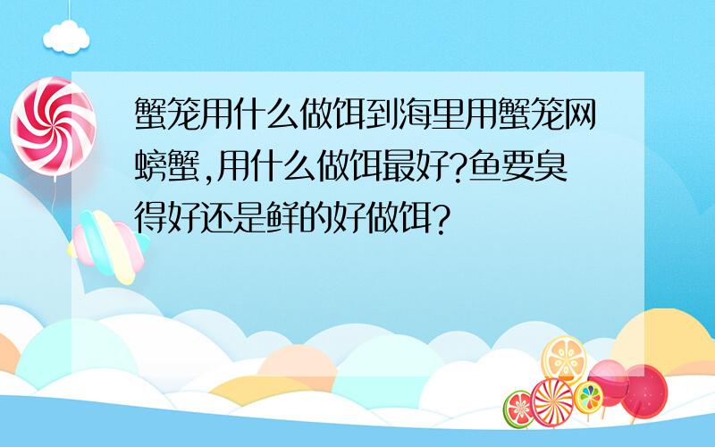 蟹笼用什么做饵到海里用蟹笼网螃蟹,用什么做饵最好?鱼要臭得好还是鲜的好做饵?