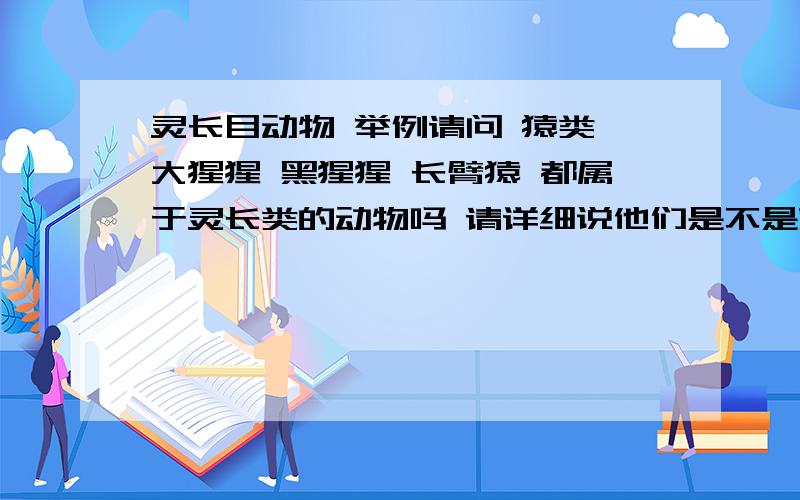 灵长目动物 举例请问 猿类 大猩猩 黑猩猩 长臂猿 都属于灵长类的动物吗 请详细说他们是不是就可以了 还有 还能举一些灵长目的动物吗 一定要准确 不用复制粘贴长篇大论 只用说上面的是