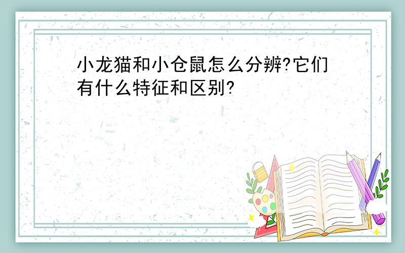 小龙猫和小仓鼠怎么分辨?它们有什么特征和区别?