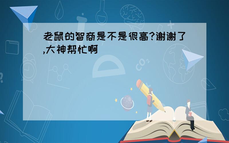 老鼠的智商是不是很高?谢谢了,大神帮忙啊