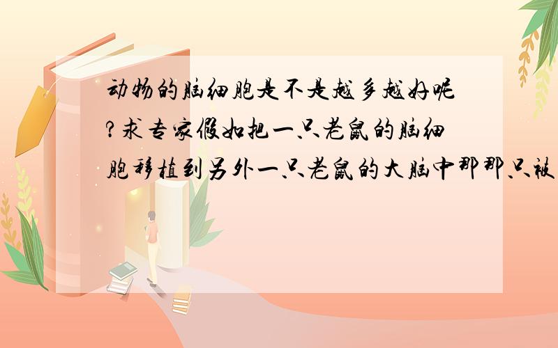 动物的脑细胞是不是越多越好呢?求专家假如把一只老鼠的脑细胞移植到另外一只老鼠的大脑中那那只被成功移植的老鼠会比其他普通老鼠聪明呢?求专家