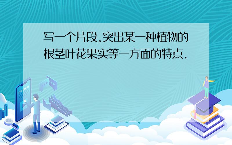 写一个片段,突出某一种植物的根茎叶花果实等一方面的特点.