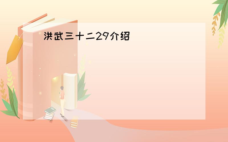 洪武三十二29介绍