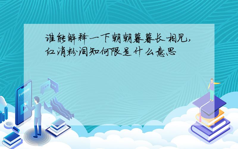 谁能解释一下朝朝暮暮长相见,红消粉泪知何限是什么意思