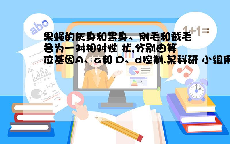 果蝇的灰身和黑身、刚毛和截毛各为一对相对性 状,分别由等位基因A、a和 D、d控制.某科研 小组用一