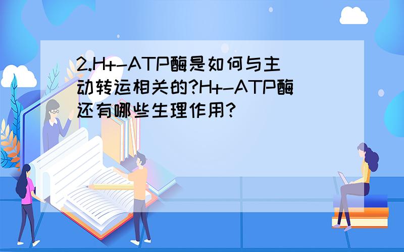 2.H+-ATP酶是如何与主动转运相关的?H+-ATP酶还有哪些生理作用?