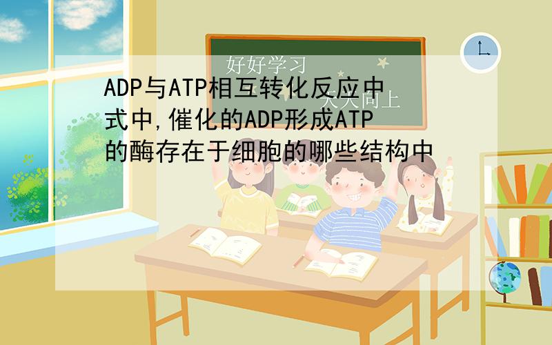 ADP与ATP相互转化反应中式中,催化的ADP形成ATP的酶存在于细胞的哪些结构中