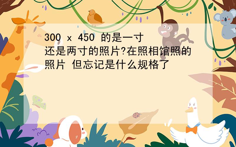 300 x 450 的是一寸还是两寸的照片?在照相馆照的照片 但忘记是什么规格了