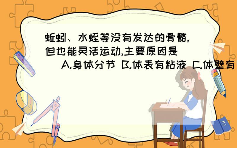 蚯蚓、水蛭等没有发达的骨骼,但也能灵活运动,主要原因是（ ）A.身体分节 B.体表有粘液 C.体壁有刚毛 D.身体成圆筒形