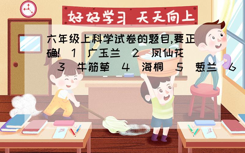 六年级上科学试卷的题目,要正确!（1）广玉兰（2）凤仙花（3）牛筋草（4）海桐（5）葱兰（6）圆柏（7）小叶女贞（8）小叶黄杨（9）毛竹（10）樟树（11）茶花（12）雪松（13）荷花（14）凤