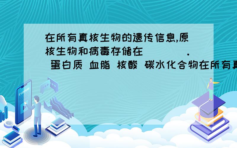 在所有真核生物的遗传信息,原核生物和病毒存储在____. 蛋白质 血脂 核酸 碳水化合物在所有真核生物的遗传信息,原核生物和病毒存储在____.    蛋白质   血脂   核酸   碳水化合物