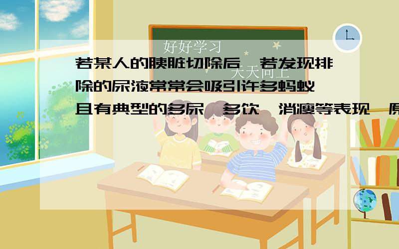 若某人的胰脏切除后,若发现排除的尿液常常会吸引许多蚂蚁,且有典型的多尿,多饮,消瘦等表现,原因是