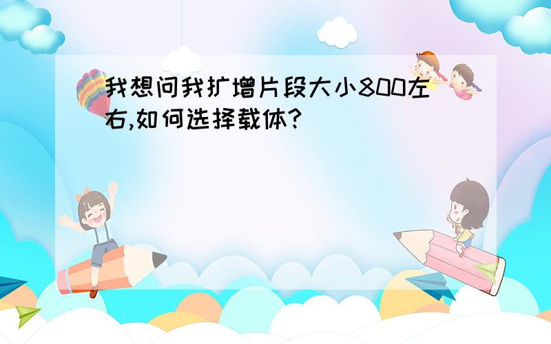 我想问我扩增片段大小800左右,如何选择载体?