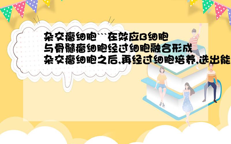 杂交瘤细胞```在效应B细胞与骨髓瘤细胞经过细胞融合形成杂交瘤细胞之后,再经过细胞培养,选出能够产生特定抗体的细胞群.这样选择出的细胞是 A．既能够分泌特异性抗体,又可以在体外生长