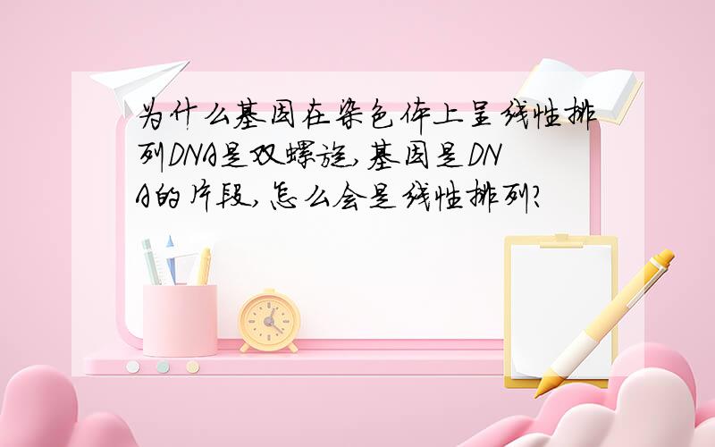 为什么基因在染色体上呈线性排列DNA是双螺旋,基因是DNA的片段,怎么会是线性排列?