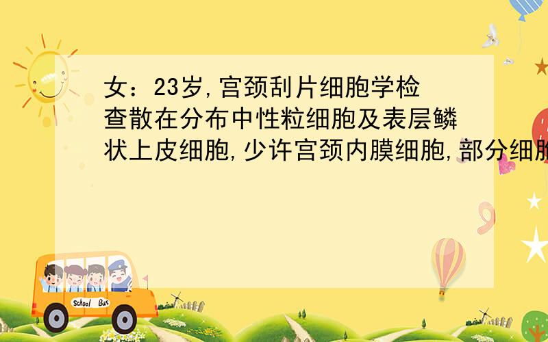 女：23岁,宫颈刮片细胞学检查散在分布中性粒细胞及表层鳞状上皮细胞,少许宫颈内膜细胞,部分细胞核染色质细胞学诊断：部分细胞核异质.想问下意思这要紧吗