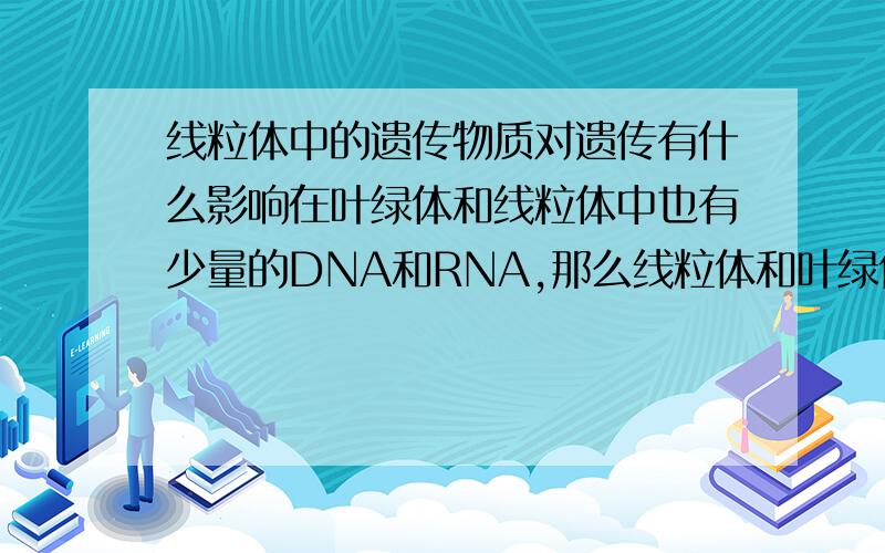 线粒体中的遗传物质对遗传有什么影响在叶绿体和线粒体中也有少量的DNA和RNA,那么线粒体和叶绿体中的遗传物质对遗传有什么影响?在遗传过程中有什么作用?