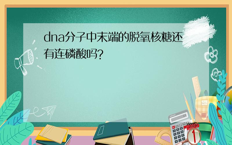 dna分子中末端的脱氧核糖还有连磷酸吗?