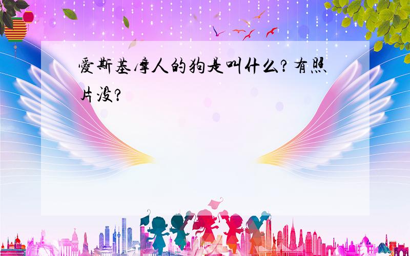 爱斯基摩人的狗是叫什么?有照片没?