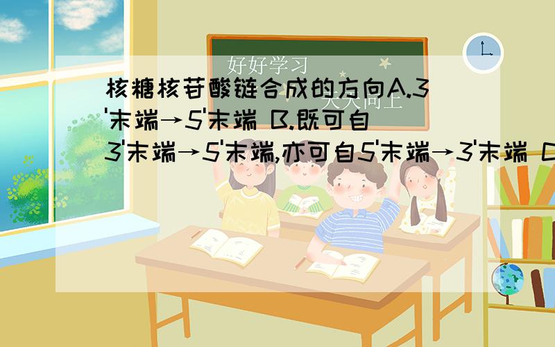 核糖核苷酸链合成的方向A.3'末端→5'末端 B.既可自3'末端→5'末端,亦可自5'末端→3'末端 C.5'末端→3'末端 D.C末端→N末端 E.N末端→C末端