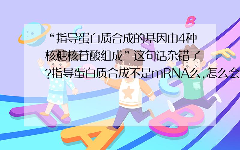 “指导蛋白质合成的基因由4种核糖核苷酸组成”这句话杂错了?指导蛋白质合成不是mRNA么,怎么会是脱氧核糖…