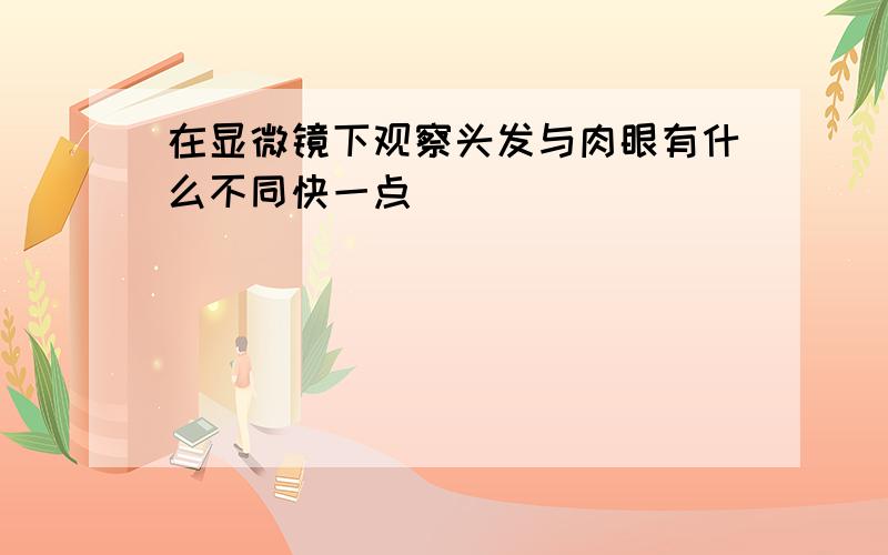 在显微镜下观察头发与肉眼有什么不同快一点